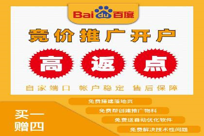 网络推广与竞价优化成功案例